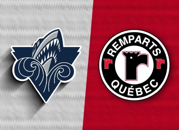 RQ OCC389 ANICXREMPARTS 800 X580