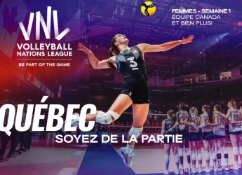 GESTEV sw VNL CV2026 800x580